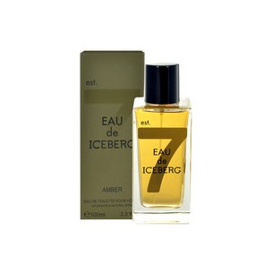 Iceberg Eau de Iceberg Amber EDT 100 ml kvepalai vyrams