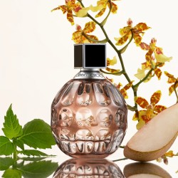 Jimmy Choo for Women EDT kvepalai moterims, 60 ml