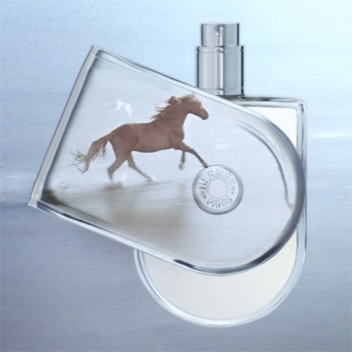 Hermes Voyage EDT unisex kvepalai, 35 ml