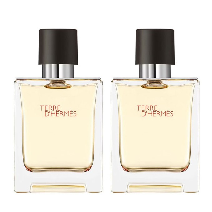 Hermes Terre D' Hermes EDT Gift Set (2 x 50 ml) vyrams