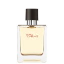 Hermes Terre D `Hermes EDT kvepalai vyrams, 50 ml