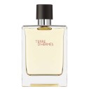 Hermes Terre D `Hermes EDT kvepalai vyrams, 100 ml