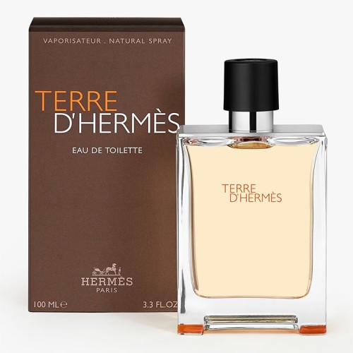 Hermes Terre D `Hermes EDT kvepalai vyrams, 100 ml