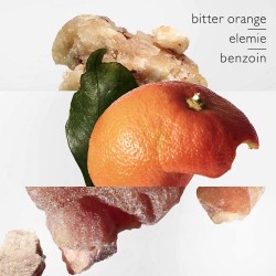 Hermes Eau des Merveilles EDT kvepalai moterims, 100 ml