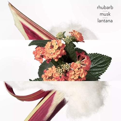 Hermes Eau de Rhubarbe Ecarlate EDC 100 ml unisex kvepalai