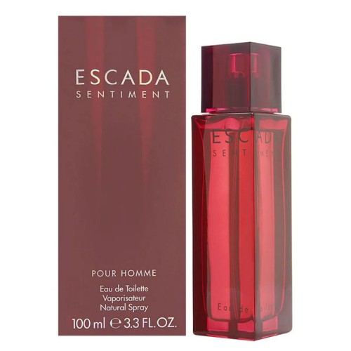 Escada Sentiment pour Homme EDT kvepalai vyrams, 100 ml