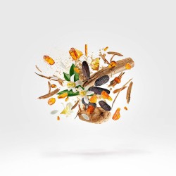 Xerjoff Shooting Stars Kobe Parfum kvepalai vyrams, 50 ml