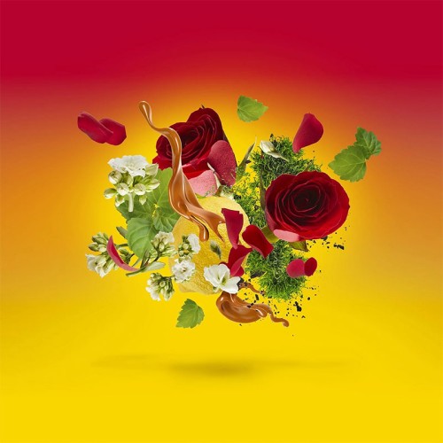 Xerjoff Casamorati Levar Del Sole EDP 30 ml unisex kvepalai