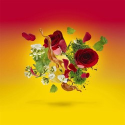 Xerjoff Casamorati Levar Del Sole EDP 30 ml unisex kvepalai