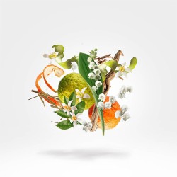 Xerjoff XJ 1861 Renaissance EDP kvepalai unisex, 100 ml