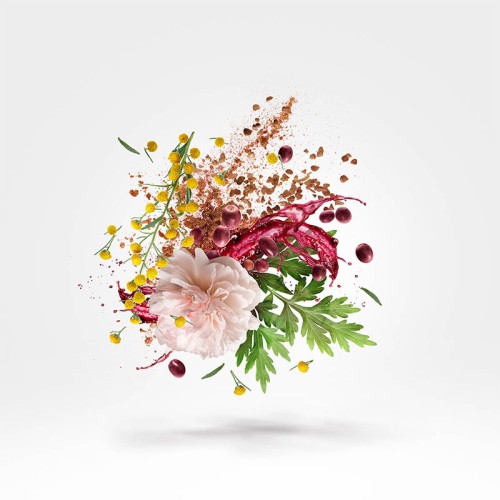 Xerjoff XJ 1861 Zefiro EDP unisex kvepalai, 100 ml