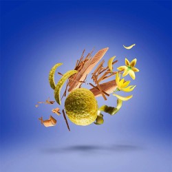 Xerjoff XJ 17/17 XXY Perfume 100 ml unisex kvepalai