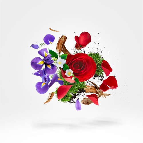 Xerjoff XJ 17/17 Elle EDP kvepalai moterims, 100 ml