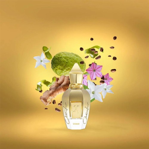 Xerjoff Uden Overdose Parfum 50 ml unisex kvepalai