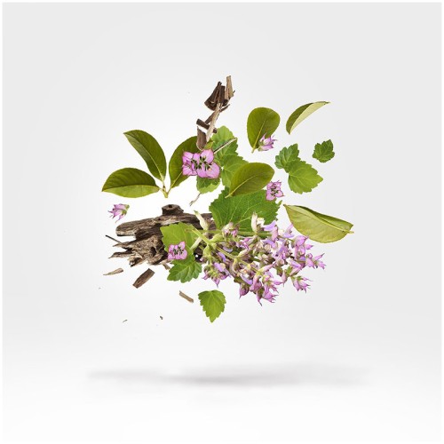 Xerjoff Kemi Blue Collection Holysm EDP unisex kvepalai, 50 ml