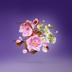 Xerjoff Soprano EDP unisex kvepalai, 50 ml