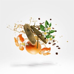 Xerjoff Shooting Stars Uden Parfum kvepalai vyrams, 50 ml