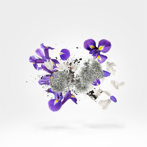 Xerjoff Shooting Stars Apollonia Parfum kvepalai, 50 ml