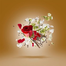 Xerjoff Oud Stars Zafar EDP unisex kvepalai, 50 ml