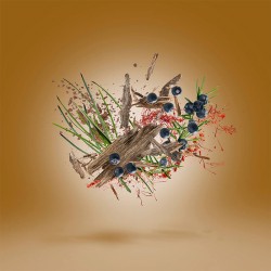 Xerjoff Oud Stars Gao Parfum 50 ml unisex kvepalai