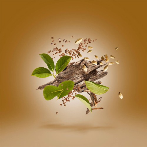 Xerjoff Oud Stars Luxor Parfum 50 ml unisex kvepalai