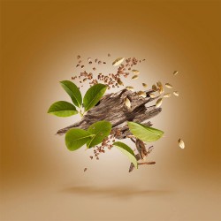 Xerjoff Oud Stars Luxor Parfum 50 ml unisex kvepalai