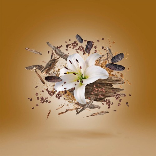 Xerjoff Oud Stars Malesia EDP unisex kvepalai, 50 ml