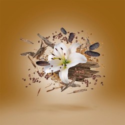 Xerjoff Oud Stars Malesia EDP unisex kvepalai, 50 ml