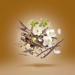 Xerjoff Oud Stars Al-Khatt EDP unisex kvepalai, 50 ml