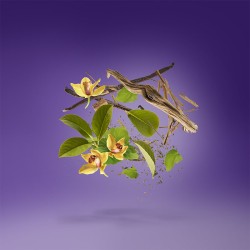 Xerjoff Laylati EDP unisex kvepalai, 50 ml