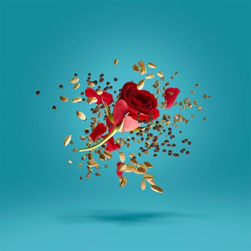 Xerjoff Groove Xcape Parfum 50 ml unisex kvepalai