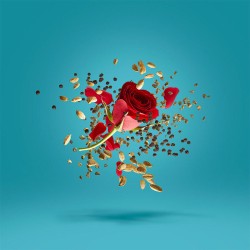 Xerjoff Groove Xcape Parfum 50 ml unisex kvepalai