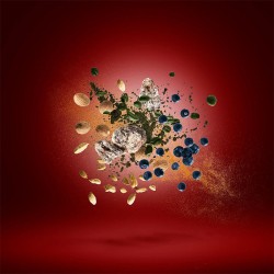 Xerjoff Coffee Break Golden Green EDP unisex kvepalai, 50 ml