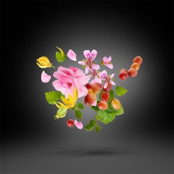 Xerjoff Casamorati 1888 Regio EDP 30 ml unisex kvepalai