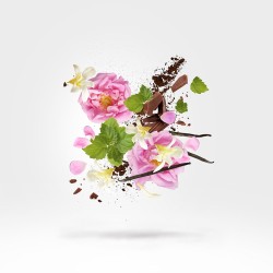 Xerjoff Aurum EDP unisex kvepalai, 50 ml