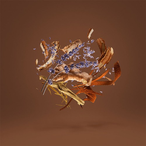 Xerjoff 17/17 Homme EDP kvepalai vyrams, 50 ml