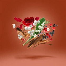 Xerjoff 17/17 Damarose EDP kvepalai moterims, 100 ml