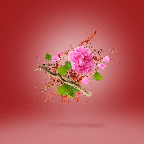 Xerjoff Wardasina EDP unisex kvepalai, 50 ml