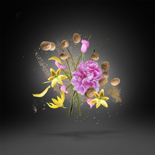 Xerjoff Opera EDP unisex kvepalai, 50 ml