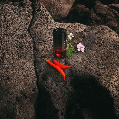 Trussardi Parfums Primo EDP kvepalai vyrams, 50 ml