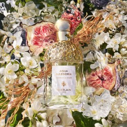 Guerlain Aqua Allegoria Nerolia Vetiver EDT kvepalai moterims, 125 ml