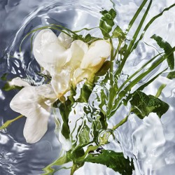 Guerlain Aqua Allegoria Herba Fresca EDT kvepalai moterims, 75 ml