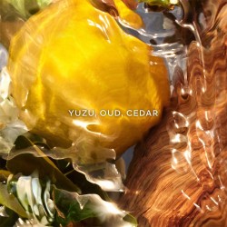 Guerlain Aqua Allegoria Forte Oud Yuzu EDP 125 ml unisex kvepalai