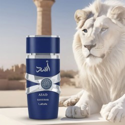 Lattafa Asad Zanzibar EDP kvepalai vyrams, 100 ml