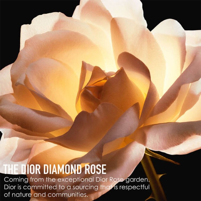 Dior Prestige La Micro-Lotion - veido tonikas 150 ml