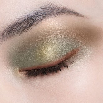 Dior 5 Couleurs Couture Eyeshadow Palette - akių šešėlių paletė, 7 g - 343 Khaki 2