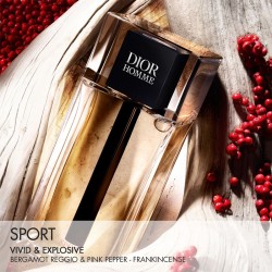 Dior Homme Sport EDT kvepalai vyrams, 125 ml