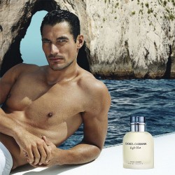 Dolce Gabbana Light Blue pour Homme EDT kvepalai vyrams, 75 ml