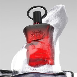 Afnan Supremacy Tapis Rouge EDP kvepalai moterims, 100 ml