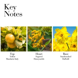 Elizabeth Arden Sunflowers Sunrise EDT kvepalai moterims, 100 ml